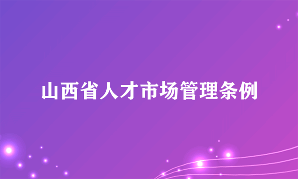 山西省人才市场管理条例