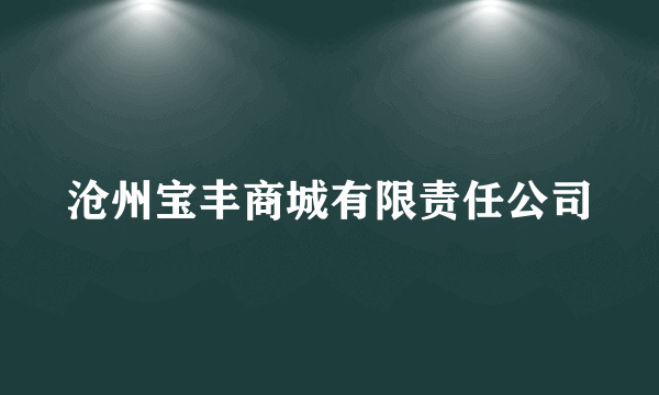 沧州宝丰商城有限责任公司