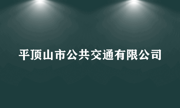 平顶山市公共交通有限公司