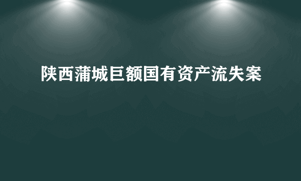 陕西蒲城巨额国有资产流失案