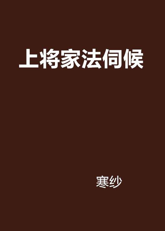 上将家法伺候