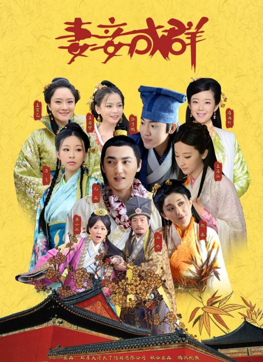 妻妾成群（2014年尤磊主演古装剧）