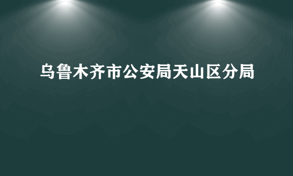 乌鲁木齐市公安局天山区分局