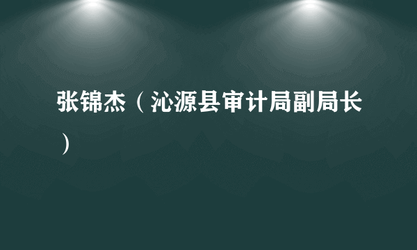 张锦杰（沁源县审计局副局长）