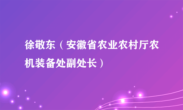 徐敬东（安徽省农业农村厅农机装备处副处长）