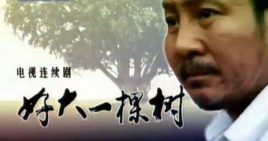 好大一棵树（2009年马少骅主演的电视剧）