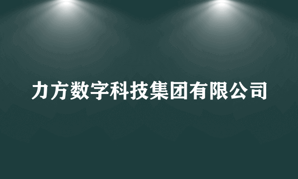 力方数字科技集团有限公司