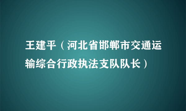 王建平（河北省邯郸市交通运输综合行政执法支队队长）