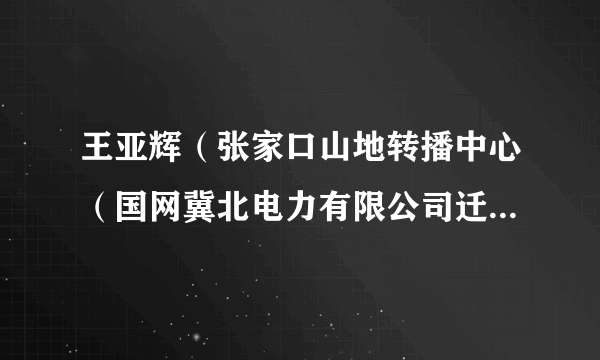 王亚辉（张家口山地转播中心（国网冀北电力有限公司迁西县供电分公司）电力经理（党委委员、纪委书记兼工会主席））