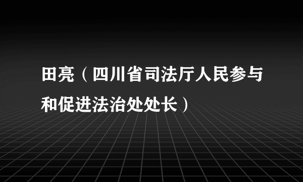 田亮（四川省司法厅人民参与和促进法治处处长）