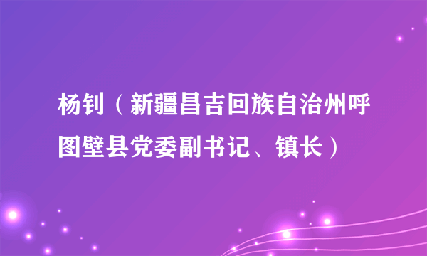 杨钊（新疆昌吉回族自治州呼图壁县党委副书记、镇长）