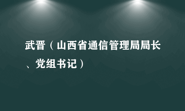 武晋（山西省通信管理局局长、党组书记）