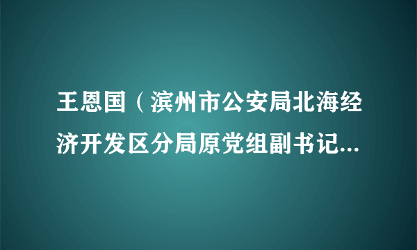 王恩国（滨州市公安局北海经济开发区分局原党组副书记、政委）