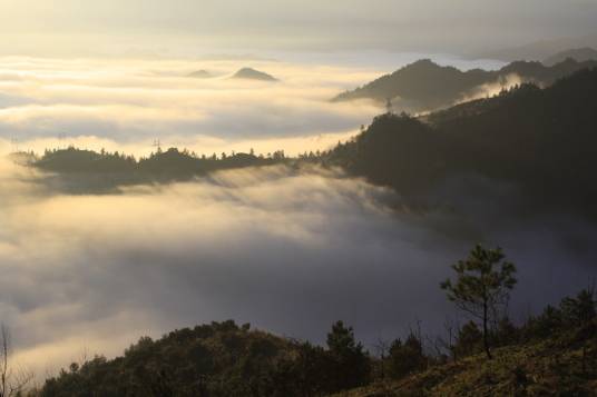 雷公山（国家级森林公园）