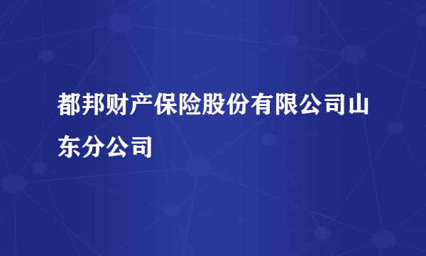 都邦财产保险股份有限公司山东分公司