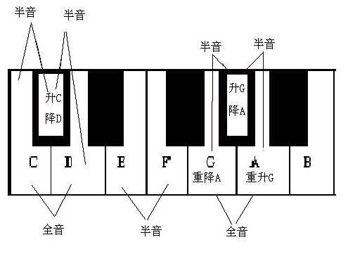 乐音体系