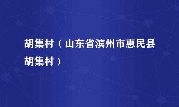 胡集村（山东省滨州市惠民县胡集村）