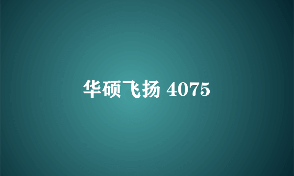 华硕飞扬 4075