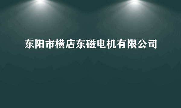 东阳市横店东磁电机有限公司