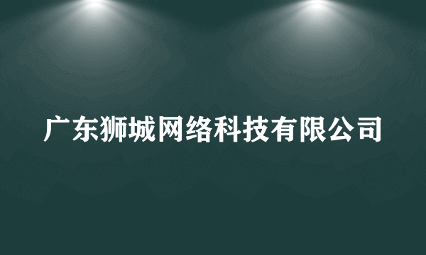 广东狮城网络科技有限公司