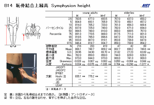 耻骨联合高