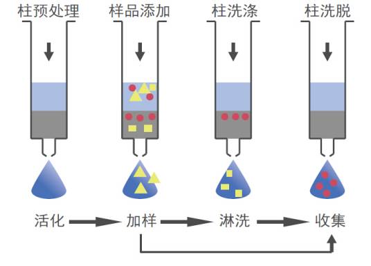 基体分散固相萃取