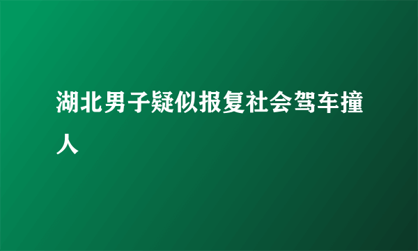 湖北男子疑似报复社会驾车撞人