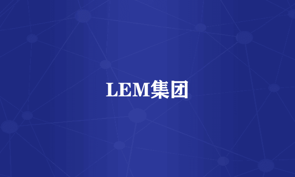 LEM集团