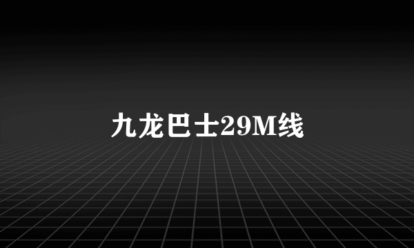 九龙巴士29M线