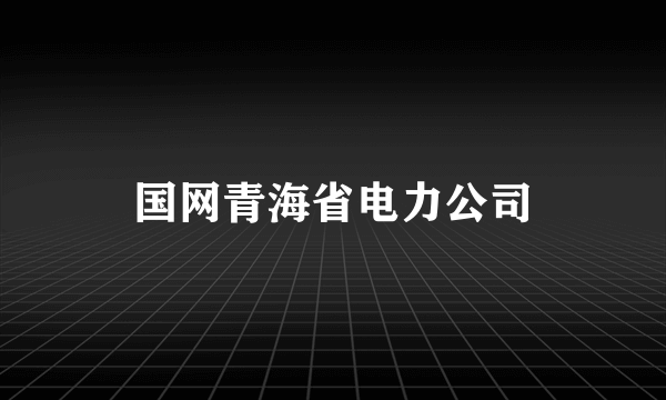 国网青海省电力公司