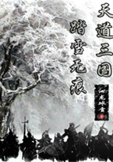 天道三国之踏雪无痕