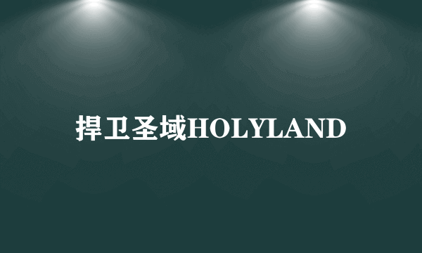 捍卫圣域HOLYLAND