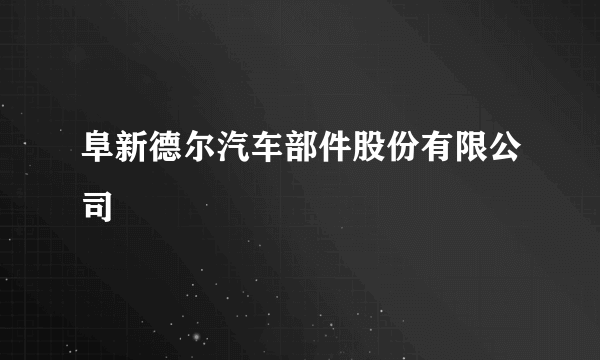 阜新德尔汽车部件股份有限公司