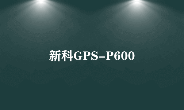 新科GPS-P600