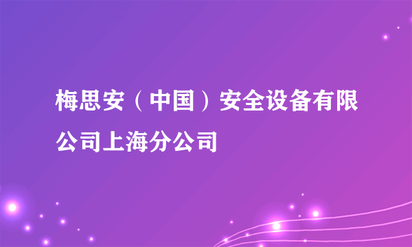 梅思安（中国）安全设备有限公司上海分公司