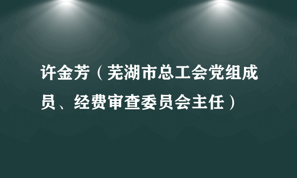 许金芳（芜湖市总工会党组成员、经费审查委员会主任）