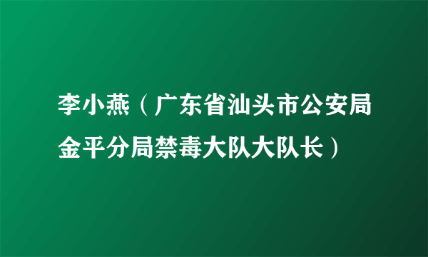 李小燕（广东省汕头市公安局金平分局禁毒大队大队长）