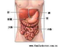 剖腹探查术