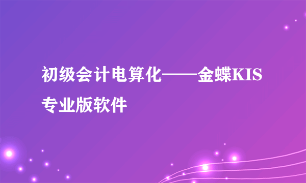 初级会计电算化——金蝶KIS专业版软件