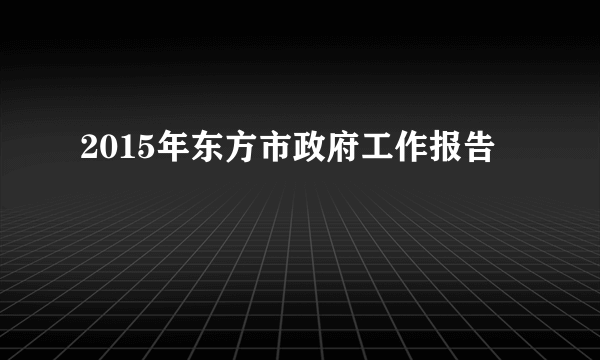 2015年东方市政府工作报告