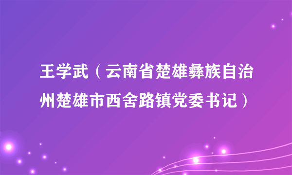 王学武（云南省楚雄彝族自治州楚雄市西舍路镇党委书记）