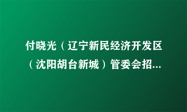 付晓光（辽宁新民经济开发区（沈阳胡台新城）管委会招商一局原局长）