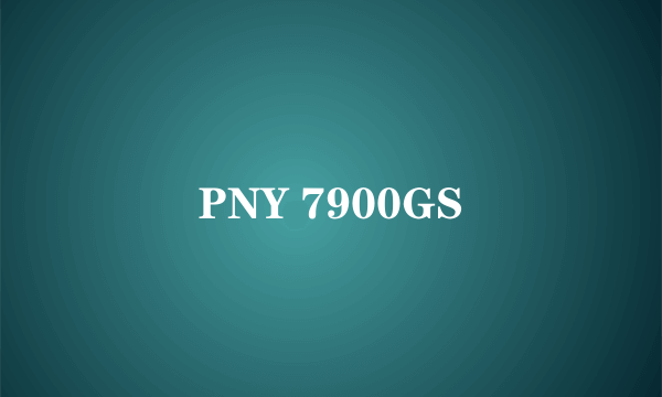 PNY 7900GS