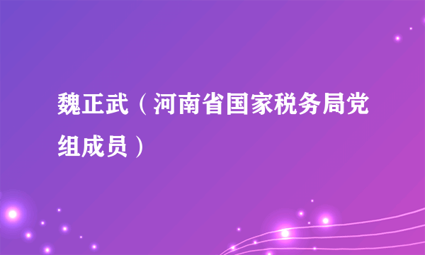 魏正武（河南省国家税务局党组成员）