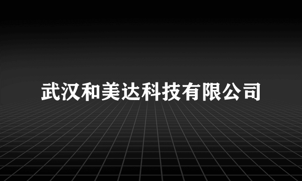 武汉和美达科技有限公司