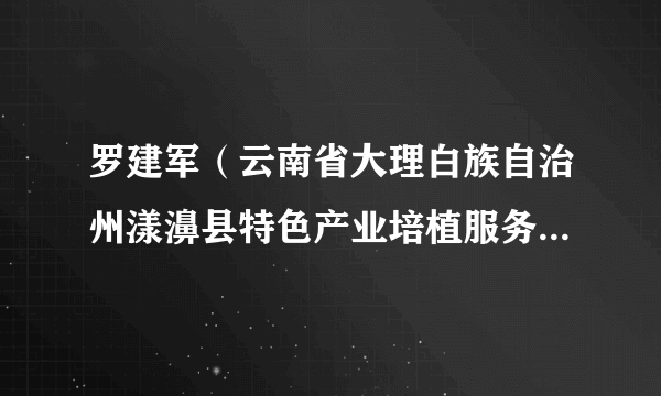 罗建军（云南省大理白族自治州漾濞县特色产业培植服务中心主任）