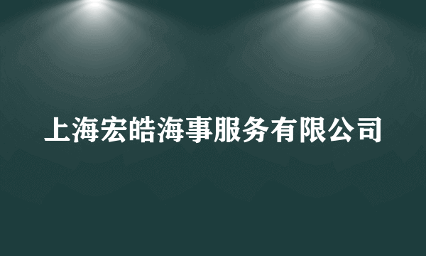 上海宏皓海事服务有限公司