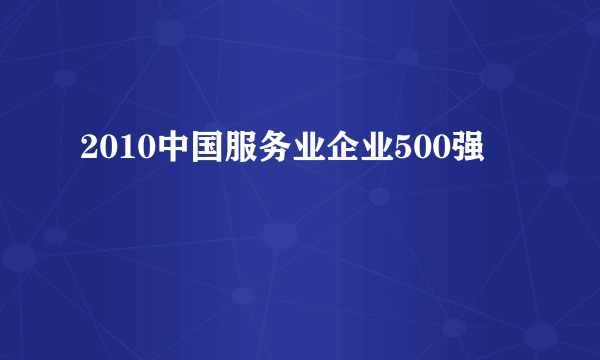 2010中国服务业企业500强