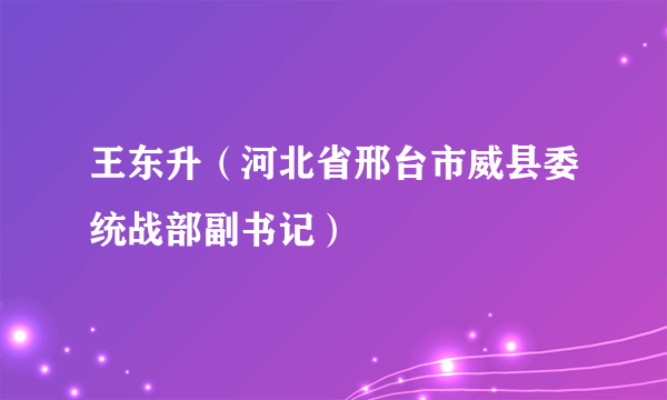 王东升（河北省邢台市威县委统战部副书记）