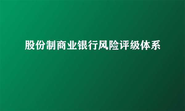 股份制商业银行风险评级体系